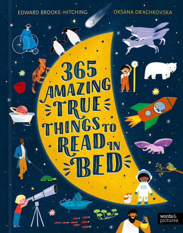 Produktbild: 365 Amazing True Things to Read in Bed