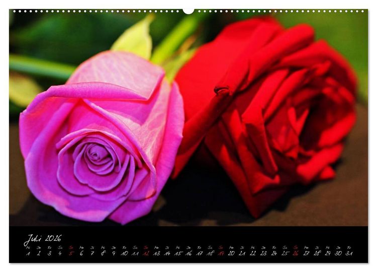 Produktbild: Flower (Wandkalender 2026 DIN A2 quer), CALVENDO Monatskalender