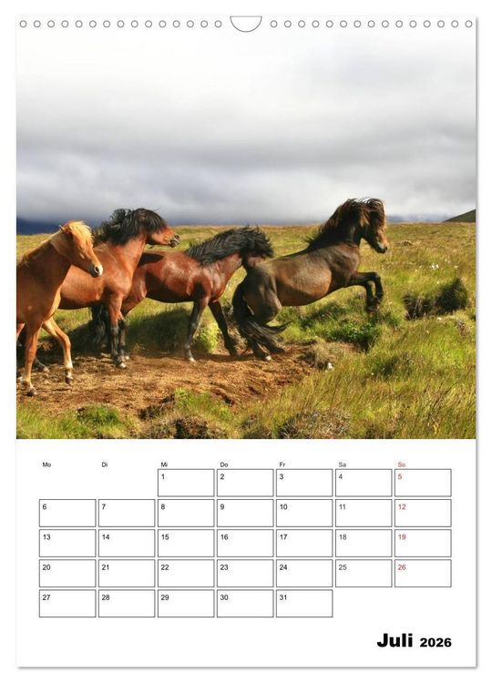 Produktbild: ISLANDPFERDE an der K&uuml;ste von Sn&aelig;fellsnes (Wandkalender 2026 DIN A3 hoch), CALVENDO Monatskalender