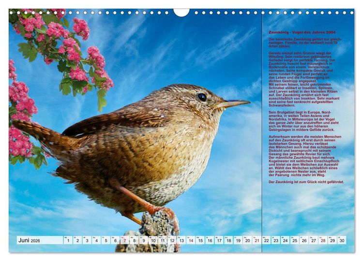 Produktbild: Heimische V&ouml;gel des Jahres (Wandkalender 2026 DIN A3 quer), CALVENDO Monatskalender