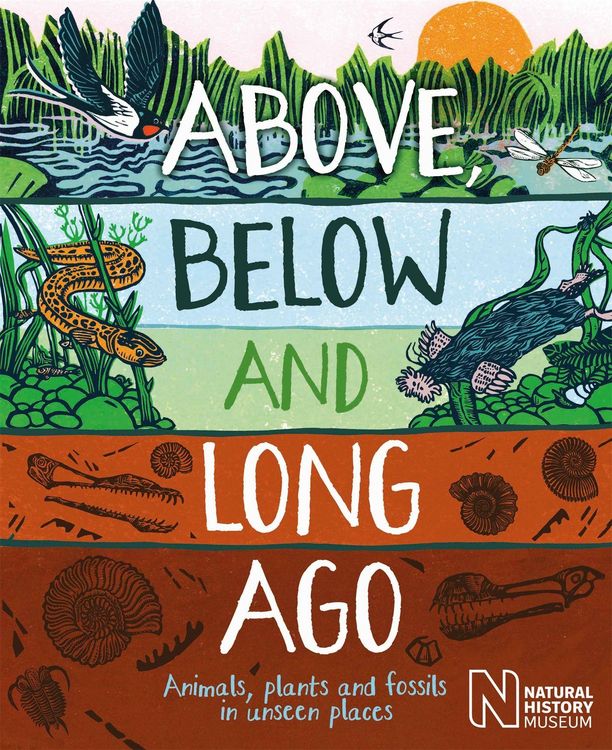 Produktbild: Above, Below and Long Ago