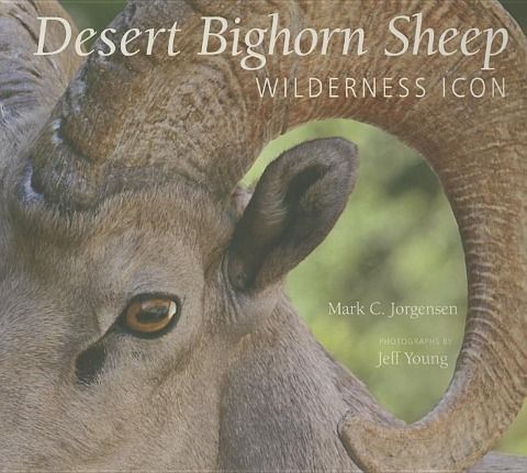 Produktbild: The Desert Bighorn Sheep: Wilderness Icon
