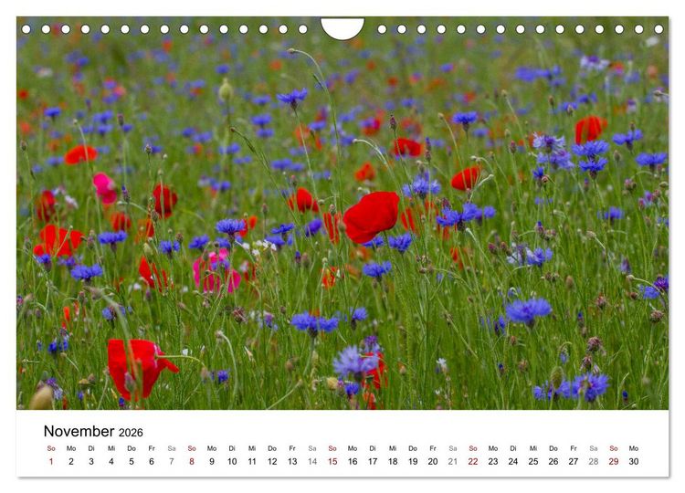 Produktbild: Klosterinsel Reichenau - UNESCO-Welterbe am Bodensee (Wandkalender 2026 DIN A4 quer), CALVENDO Monatskalender
