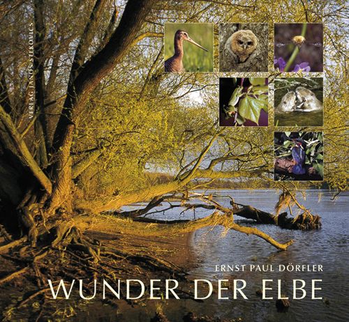 Produktbild: Wunder der Elbe