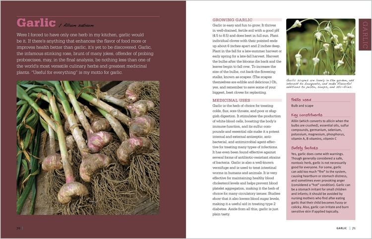 Produktbild: Rosemary Gladstar's Medicinal Herbs: A Beginner's Guide