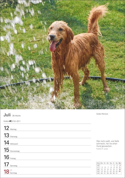Produktbild: Hunde Wochenplaner 2027 - 53 faszinierende Fotografien