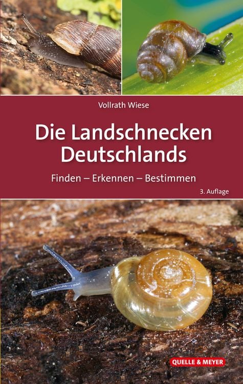 Bild vom Artikel Die Landschnecken Deutschlands vom Autor Vollrath Wiese