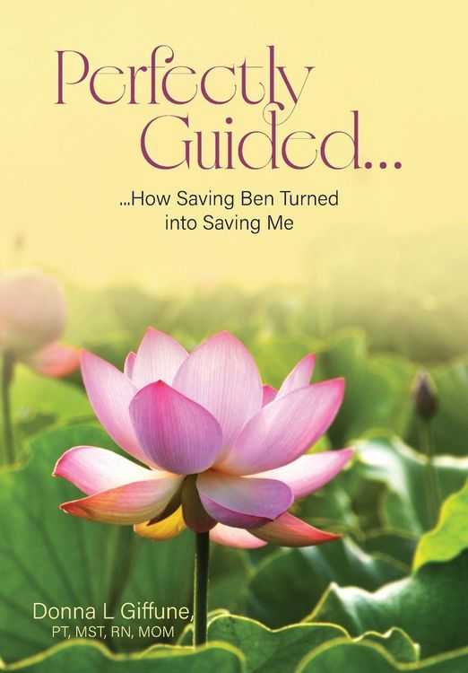 Produktbild: Perfectly Guided...
