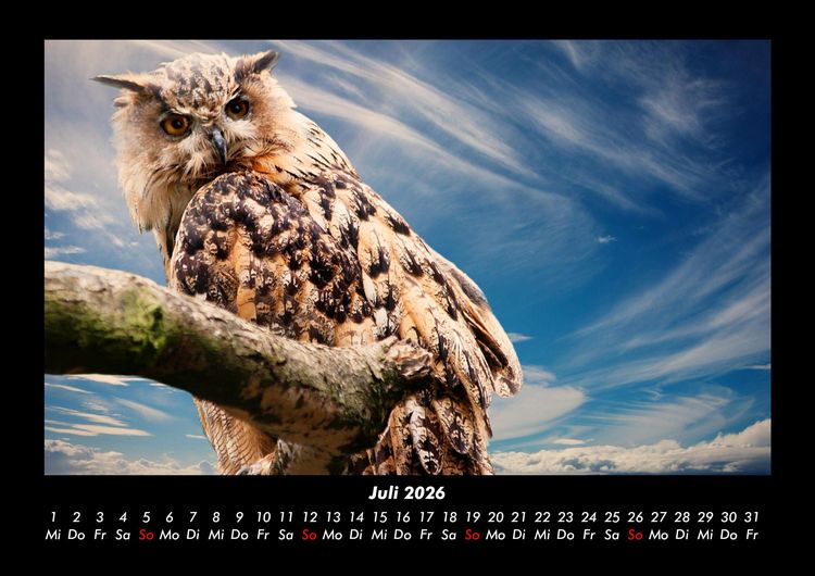 Produktbild: V&ouml;gel 2026 Fotokalender DIN A3