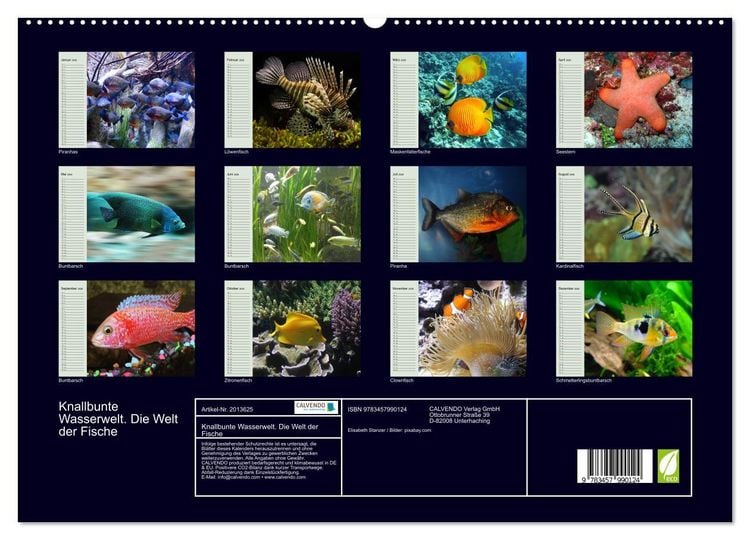 Produktbild: Knallbunte Wasserwelt. Die Welt der Fische (hochwertiger Premium Wandkalender 2026 DIN A2 quer), Kunstdruck in Hochglanz