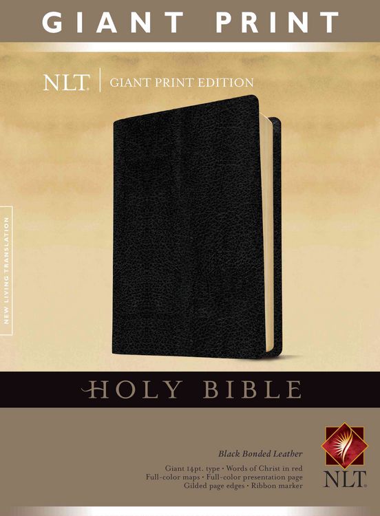 Produktbild: Giant Print Bible-NLT