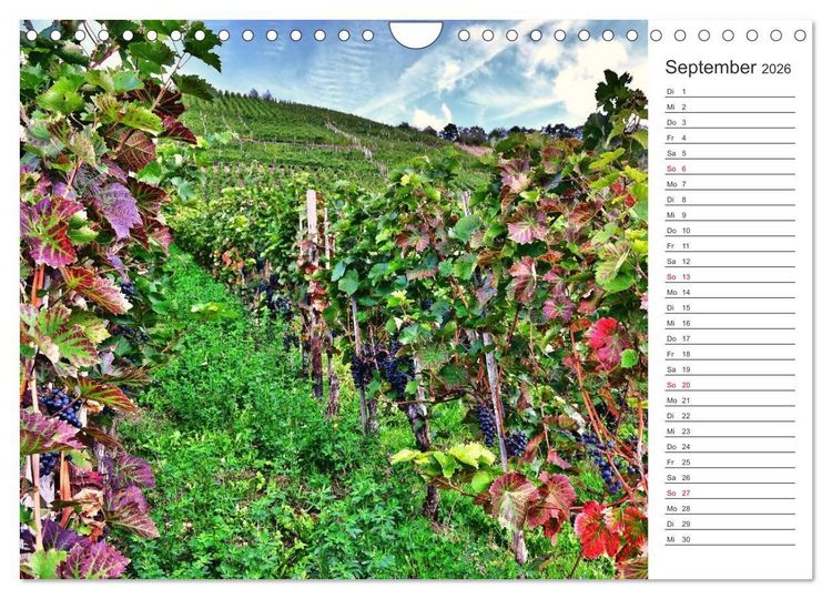 Produktbild: Bildsch&ouml;n - Die Mosel (Wandkalender 2026 DIN A4 quer), CALVENDO Monatskalender