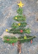 Produktbild: Eschbacher Textkarte. Tannenbaum