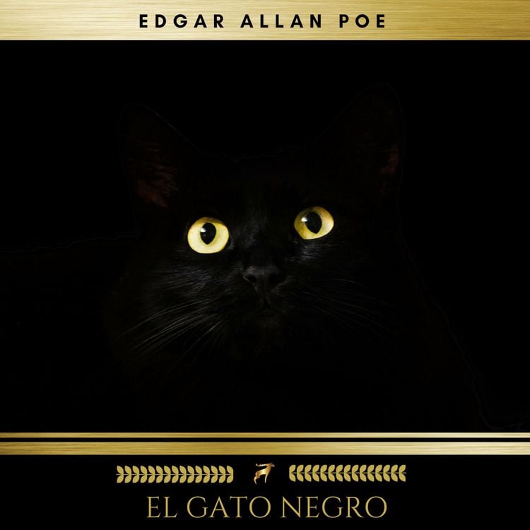 Produktbild: El Gato Negro