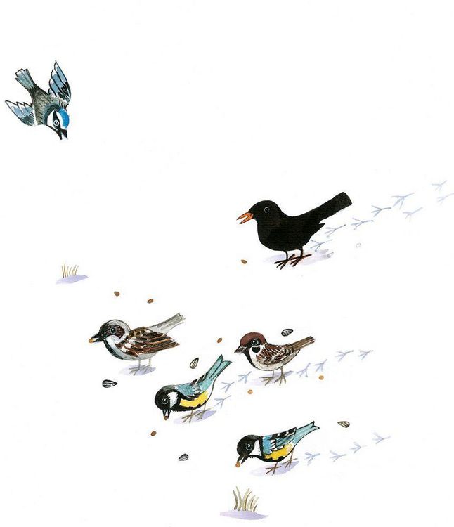 Produktbild: So ist der Winter