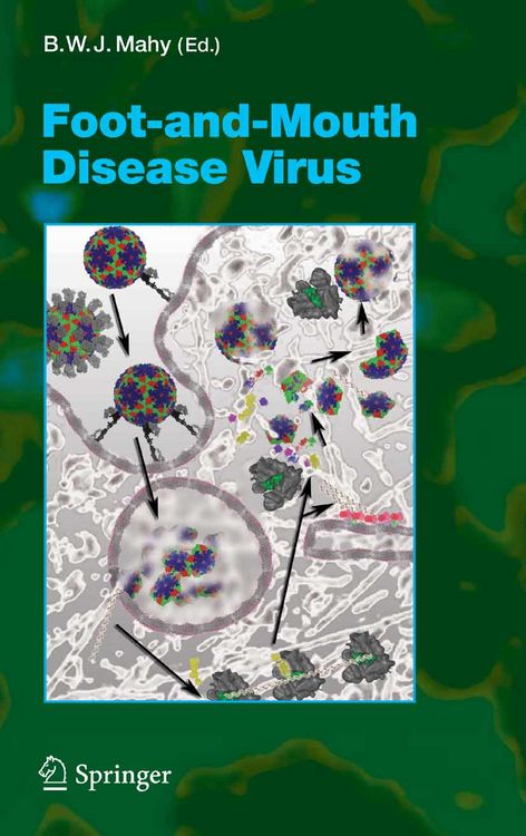 Produktbild: Foot-and-Mouth Disease Virus
