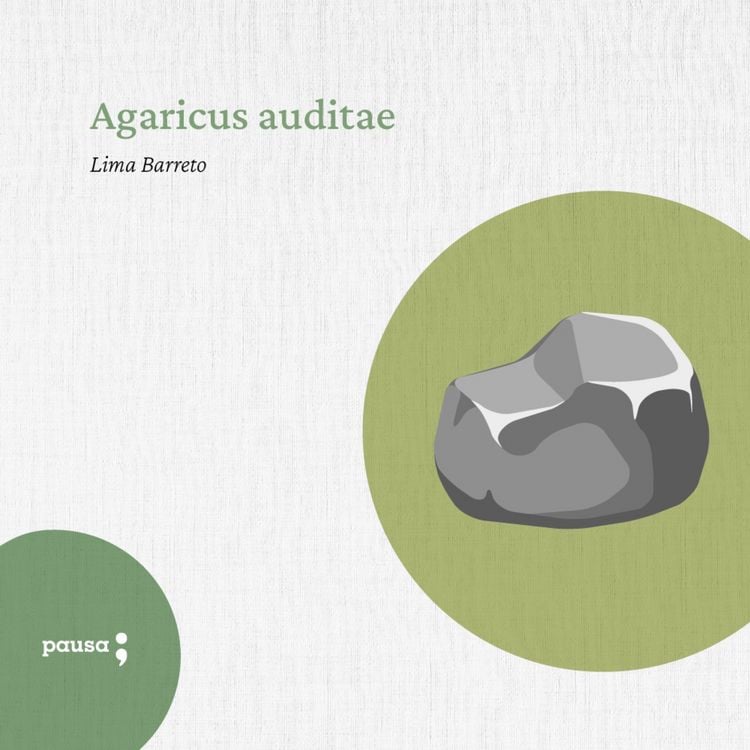 Produktbild: Agaricus auditae