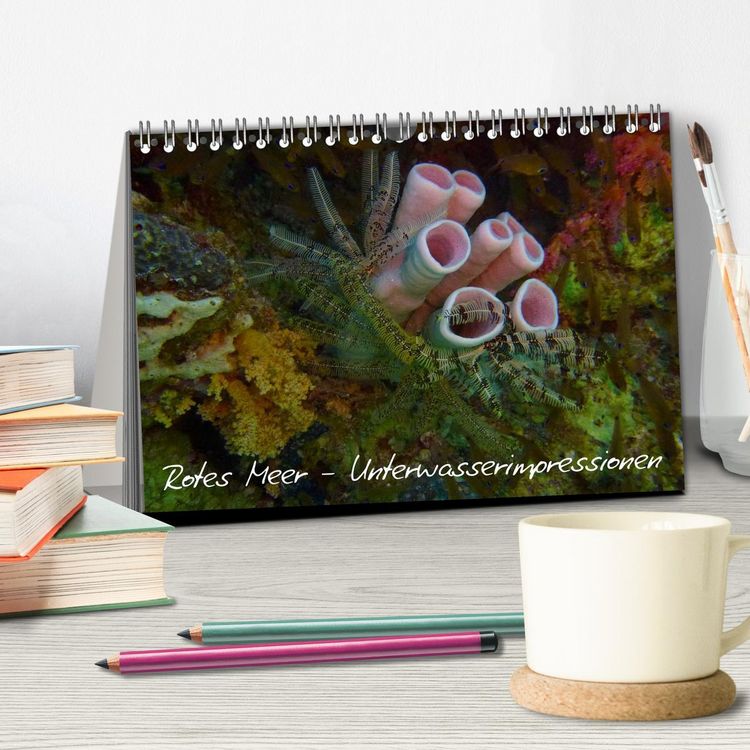 Produktbild: Rotes Meer - Unterwasserimpressionen (Tischkalender 2026 DIN A5 quer), CALVENDO Monatskalender