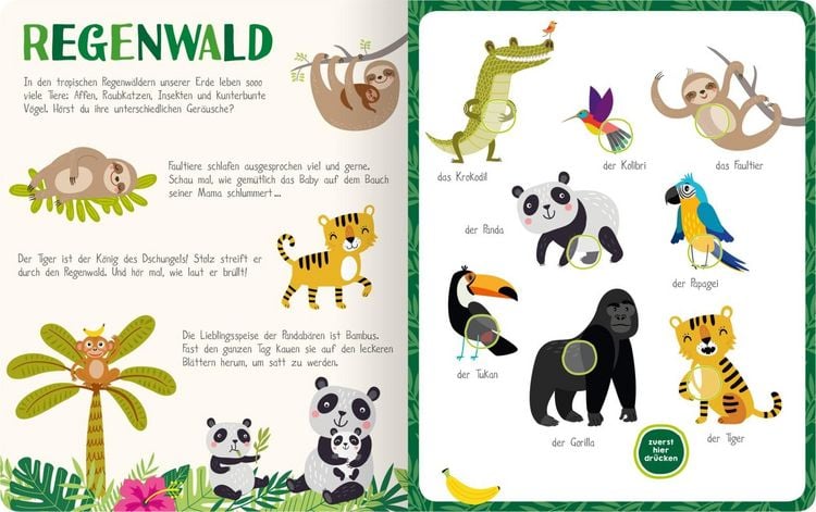 Produktbild: Mein kunterbuntes Soundbuch &ndash; Tiere