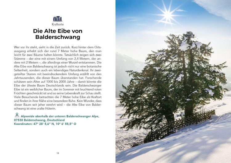 Produktbild: Der verr&uuml;ckteste Reisef&uuml;hrer f&uuml;r die Alpen