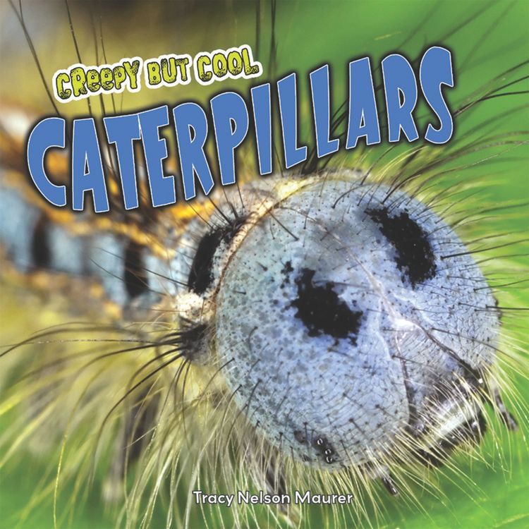 Produktbild: Creepy but Cool Caterpillars
