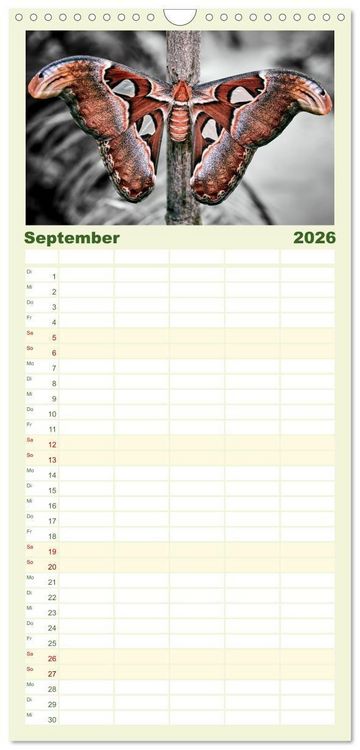 Produktbild: Familienplaner 2026 - Gefl&uuml;gelte Sch&ouml;nheiten der Tropen mit 5 Spalten (Wandkalender, 21 x 45 cm) CALVENDO