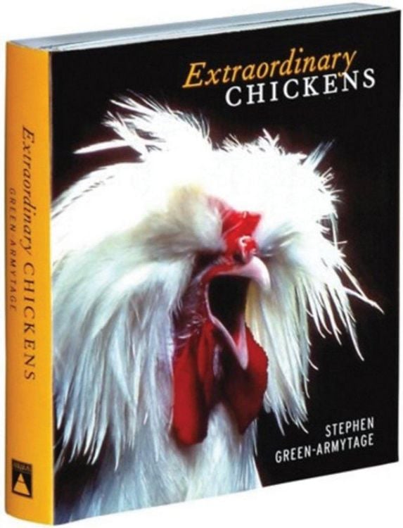 Produktbild: Extraordinary Chickens