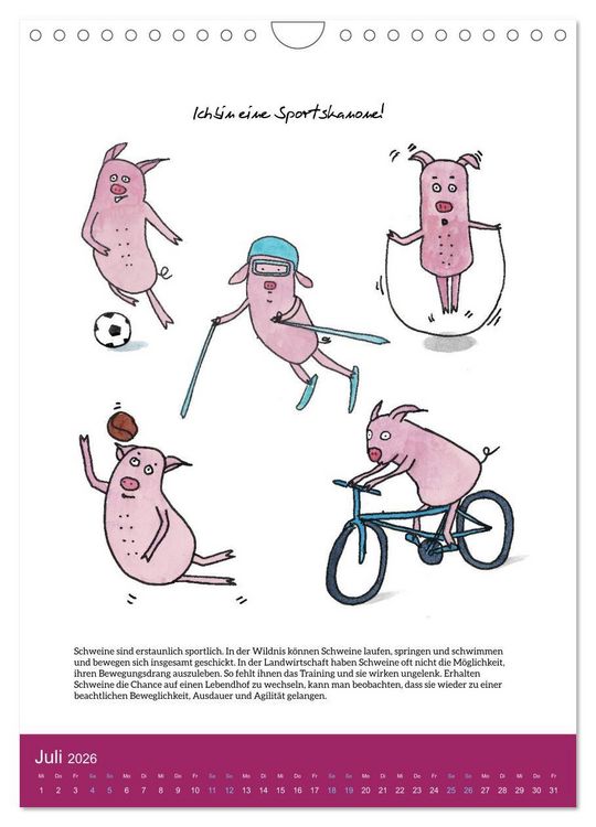 Produktbild: Schweinekalender - Alles was du &uuml;ber Schweine wissen wolltest! (Wandkalender 2026 DIN A4 hoch), CALVENDO Monatskalender