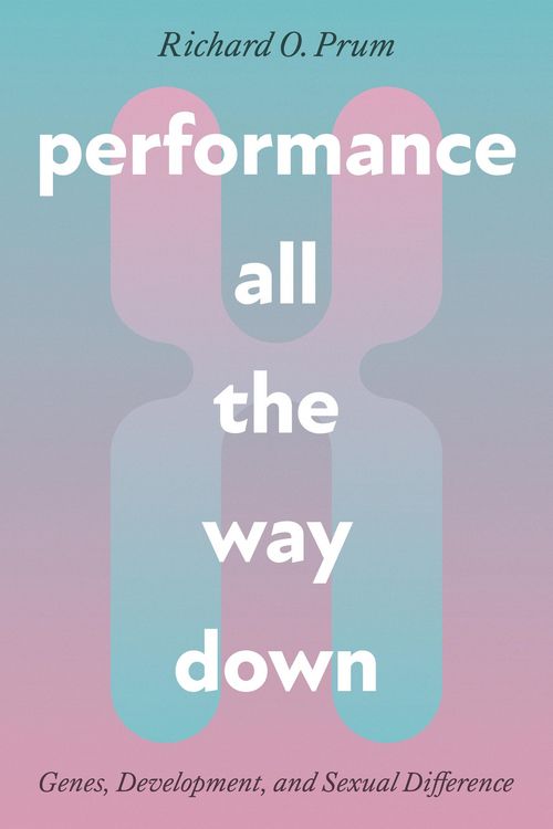 Produktbild: Performance All the Way Down