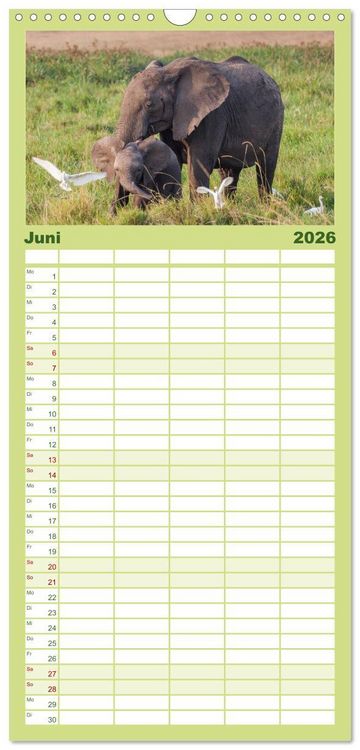 Produktbild: Familienplaner 2026 - Emotionale Momente: Afrika Wildlife. Part 3. mit 5 Spalten (Wandkalender, 21 x 45 cm) CALVENDO