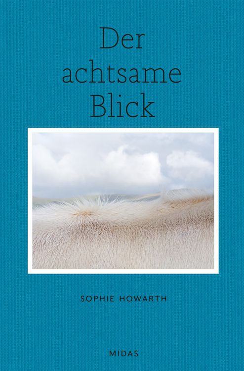 Produktbild: Der achtsame Blick