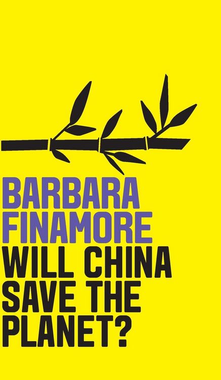 Produktbild: Will China Save the Planet?