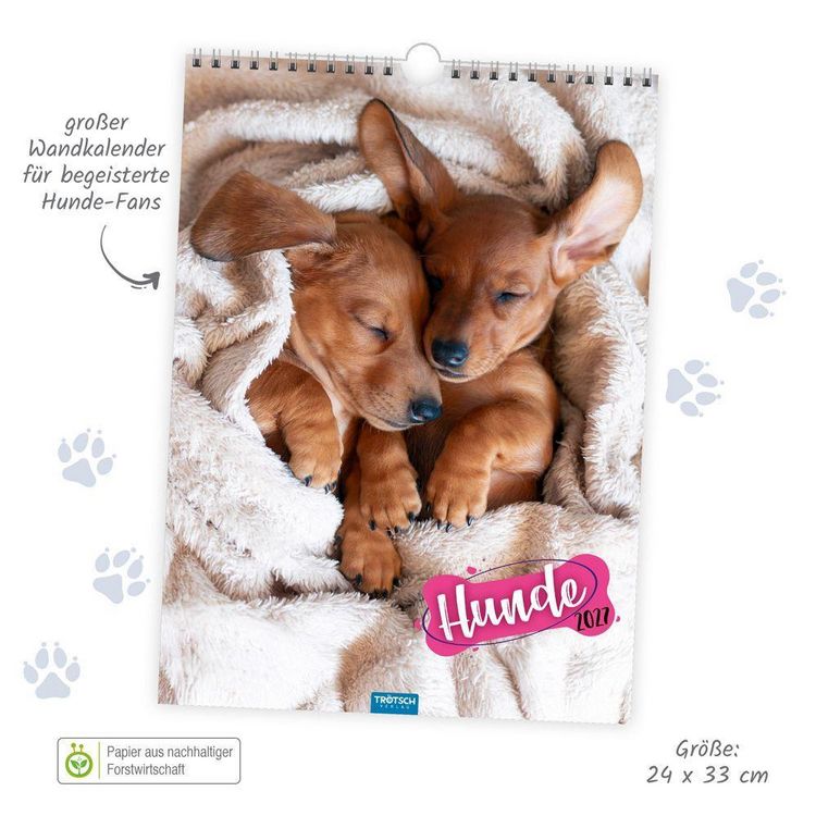 Produktbild: TR&Ouml;TSCH - Classickalender Hunde 2027
