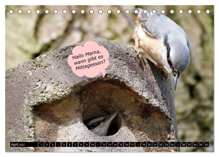 Produktbild: Wenn Tiere sprechen k&ouml;nnten! Der lustige Spr&uuml;che Kalender (Tischkalender 2027 DIN A5 quer), CALVENDO Monatskalender