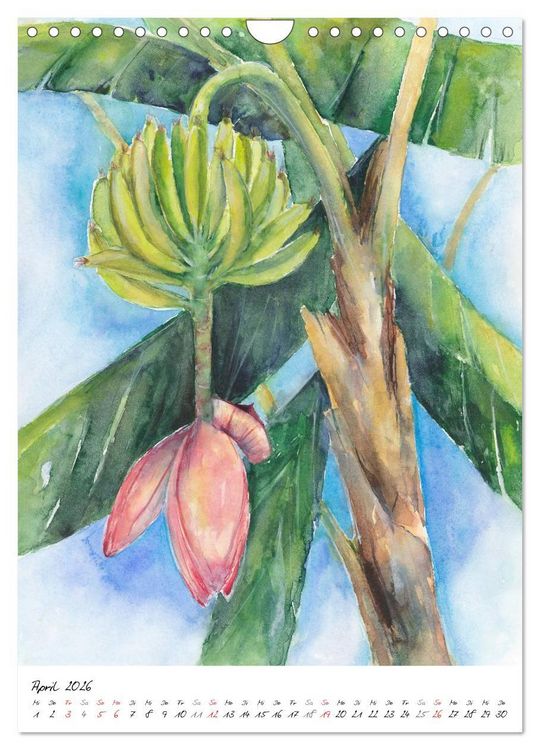 Produktbild: Bl&uuml;tenaquarelle (Wandkalender 2026 DIN A4 hoch), CALVENDO Monatskalender