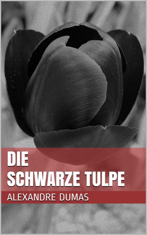 Produktbild: Die schwarze Tulpe