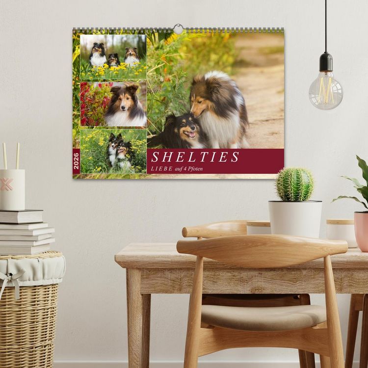 Produktbild: SHELTIES Liebe auf 4 Pfoten (Wandkalender 2026 DIN A3 quer), CALVENDO Monatskalender