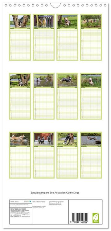 Produktbild: Familienplaner 2026 - Spaziergang am See Australian Cattle Dogs mit 5 Spalten (Wandkalender, 21 x 45 cm) CALVENDO