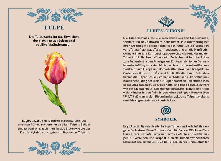 Produktbild: Adventskalender-Kartenset: Bl&uuml;tenwunder