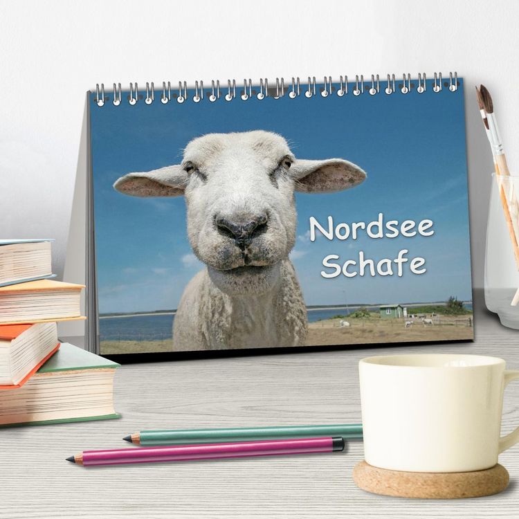 Produktbild: Nordsee Schafe (Tischkalender 2026 DIN A5 quer), CALVENDO Monatskalender