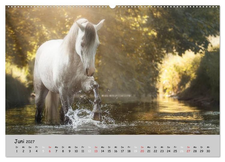 Produktbild: Pferde - Anmut und St&auml;rke gepaart mit Magie (hochwertiger Premium Wandkalender 2027 DIN A2 quer), Kunstdruck in Hochglanz