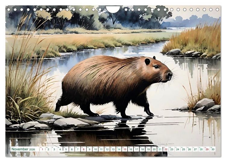 Produktbild: Das Capybara (Wandkalender 2026 DIN A4 quer), CALVENDO Monatskalender