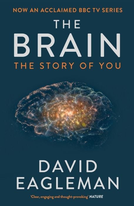 Produktbild: The Brain