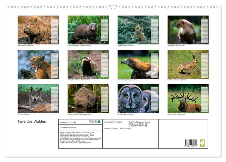 Produktbild: Tiere des Waldes (Wandkalender 2026 DIN A2 quer), CALVENDO Monatskalender