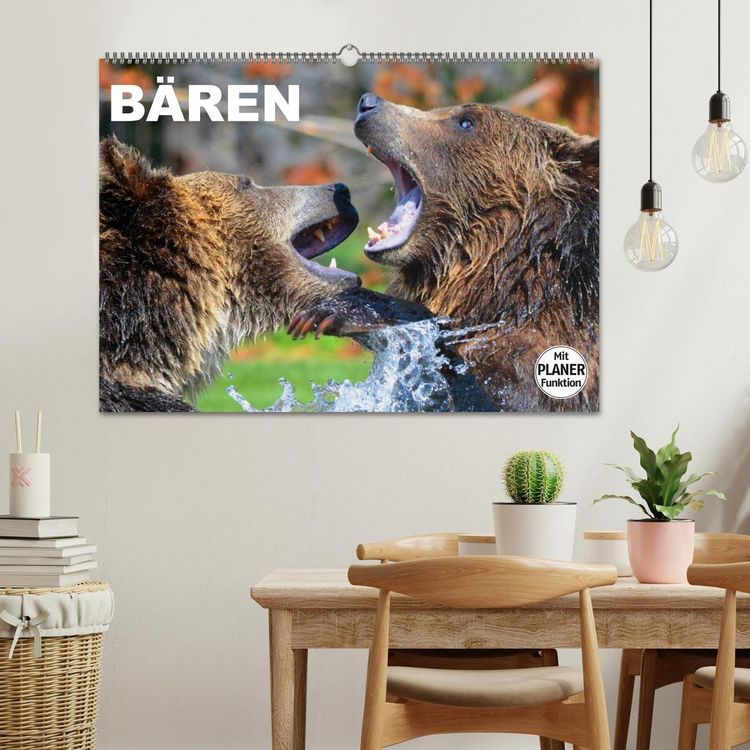 Produktbild: B&auml;ren (Wandkalender 2026 DIN A2 quer), CALVENDO Monatskalender
