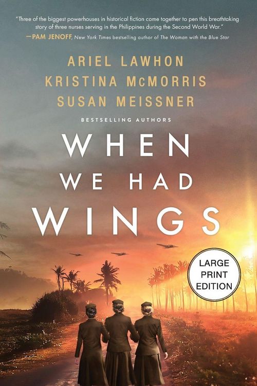 Produktbild: When We Had Wings