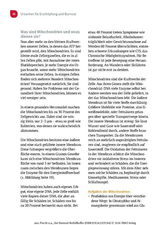 Produktbild: Der Burnout-Notfallkoffer