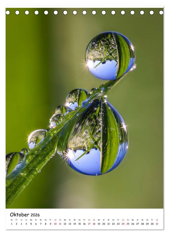 Produktbild: Wasser - Wunderwelt der Tautropfen (Tischkalender 2026 DIN A5 hoch), CALVENDO Monatskalender