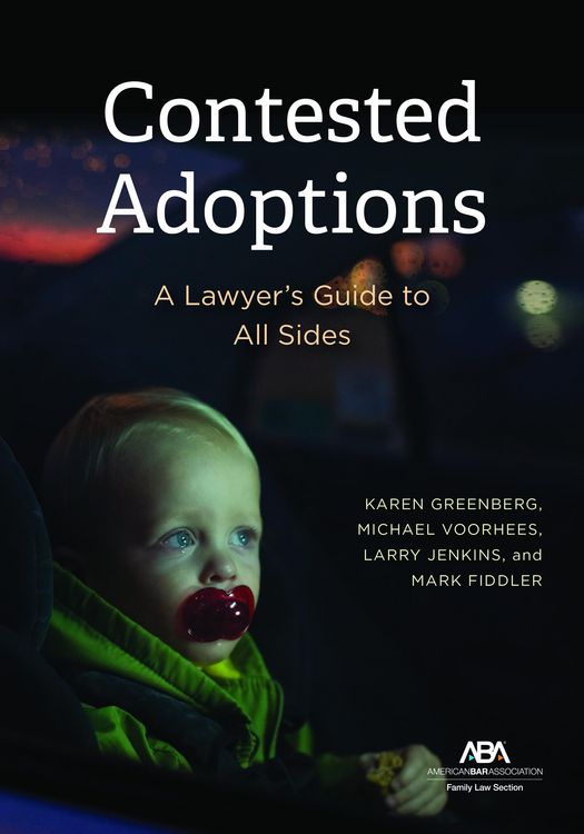 Produktbild: Contested Adoptions:
