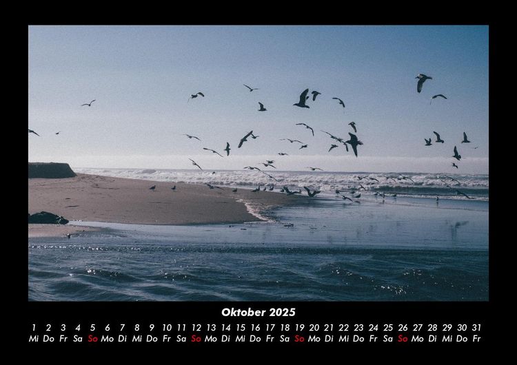 Produktbild: Meereslandschaft 2025 Fotokalender DIN A3
